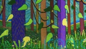 David Hockney ‘thrilled’ with new immersive exhibition, says arts venue boss