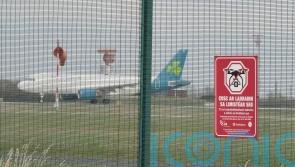 Drone activity temporarily halts flights at Dublin Airport