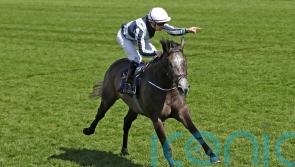 Niarchos family put renowned stud on the market