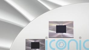Google scientists move step closer towards defeating quantum computing errors
