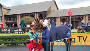 Queens Brook gets the better of Brandy Love at Punchestown