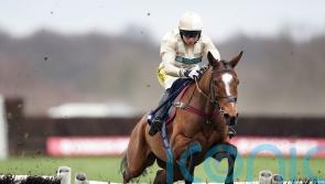 Aintree on Wadham’s mind for Hurricane Bay