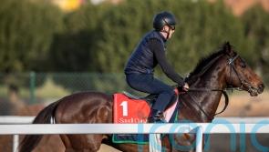 Subjectivist ready for high-profile Saudi Cup card return