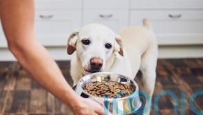 Environment Secretary calls on pet food makers to help customers as costs rise