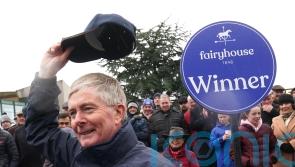 Connell readying novice pair for Cheltenham mission