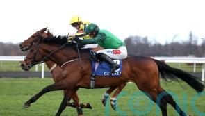 Nusret boosts the claims of Irish-trained juveniles ahead of Cheltenham
