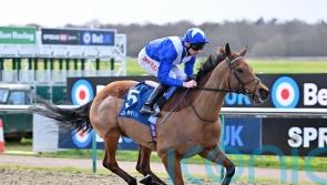 Lord North proves a class apart in Winter Derby