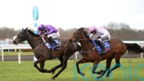 Rubaud makes amends for Betfair Hurdle reverse