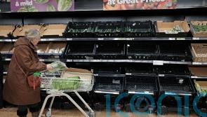 NFU warns current fruit and vegetable shortages could be ‘tip of the iceberg’