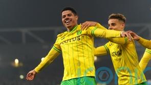 Brilliant Brazilians Gabriel Sara and Marquinhos seal Norwich win over Cardiff