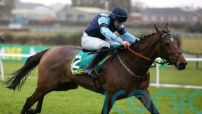 Festival winner Indefatigable bows out