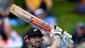 Kane Williamson holds England up as New Zealand rally in Wellington
