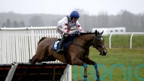 Hermes Allen backed for Ballymore glory