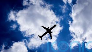 Aviation biofuel would need half of UK agricultural land, report says