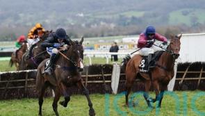 Hosie ready to Rock at Cheltenham