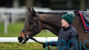 Henderson eager to maximise Festival firepower