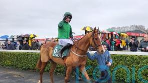 Patrick Mullins facing tough Champion Bumper choice