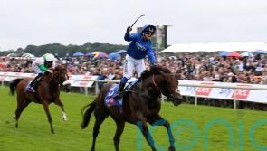 Real World all set for Jebel Hatta reappearance this weekend