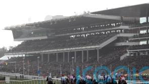 Dorking could deliver Festival victory for Crawford