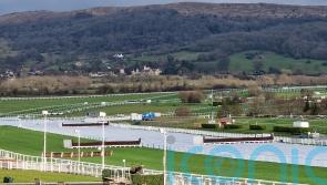 Weather conditions have proved challenging for Cheltenham officials