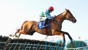 Zanahiyr likely to take on Constitution Hill in Champion Hurdle