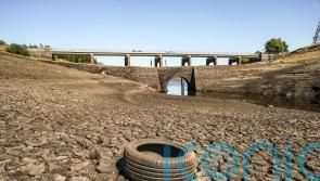 England’s driest February in 30 years, says Met Office