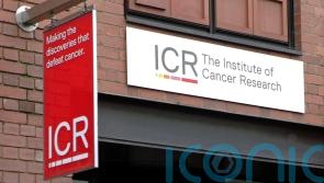 ‘Researchers solve mystery that could speed up development of new cancer drugs’