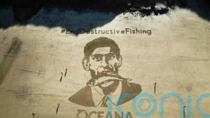 Fishing boats trawled protected areas for more than 7,000 hours, analysis shows