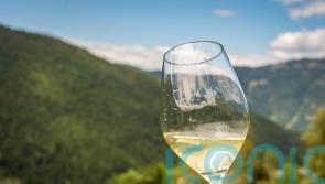 Kick off spring with 6 stunning sauvignon blancs