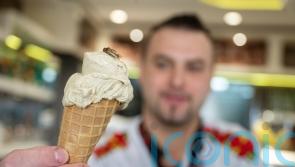 German ice cream parlour sells cricket-flavoured ice cream with insects on top