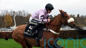 Maximilian team to skip Festival date in favour of Aintree