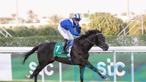 Breeders’ Cup a long-term possibility for Saudi scorer Mostahdaf