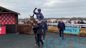 Nicky Henderson's Theatre Glory poised to take on De Bromhead's Honeysuckle