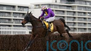 Hobbs anticipating Great test for Zanza at Newbury
