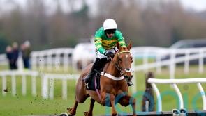 Under Control has Newbury covered in stylish winning debut