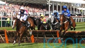 The Big Bite digs deep to secure Greatwood Gold