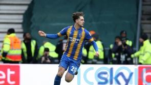 Promotion-chasing Derby let slip two-goal lead against Shrewsbury