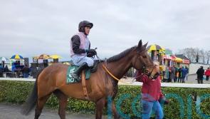 Indiana Jones scoops Flyingbolt glory