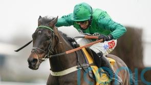Sceau Royal sticking to hurdles at either Aintree or Sandown