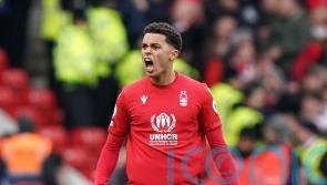 Brennan Johnson’s brace earns Nottingham Forest a point against Everton