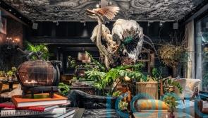 Get set for a mind-altering journey at this surreal London hotel