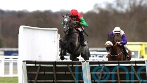 Zoffany Bay giving Fahey chance of Imperial Cup defence