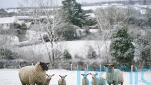 Icy stretches and some snow in parts of Ireland