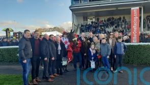 The Big Dog impresses Fahey with racecourse school