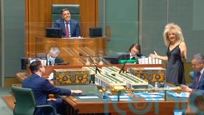 MP attends Australian parliament dressed as Tina Turner for cancer fundraiser