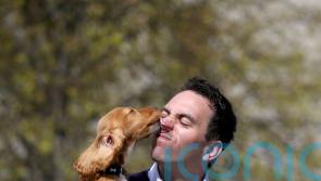 Government urged to act over ‘ineffective’ ban on electric shock dog collars