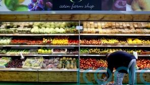 Parents want healthy food discount to protect children’s health, survey finds