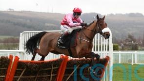 Murphy favouring three-mile test at Aintree for Brewin’upastorm