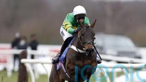 Henderson duo added to Mares’ Hurdle field