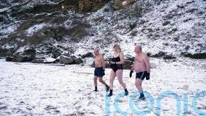 Flights disrupted amid snowfall in south following coldest night of the year